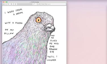 drawing - a portrait of a purple pigeon with an orange eye and text floating around