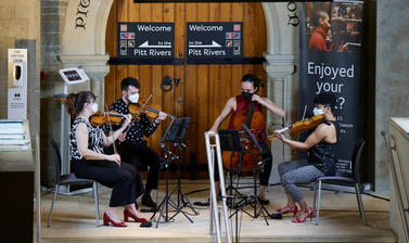Quartet of musicians, plying classical instruments, captured in sit down position whilst performing, on a wall and door background.
