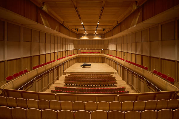 Order and Disorder: Life, Imagination, and the Search for Meaning