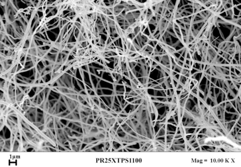 Black and white microscopic picture of carbon nanofibers