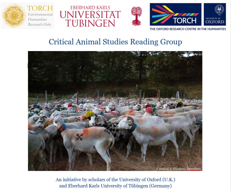 animal studies