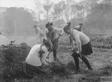 black and white photo of 3 women digging