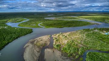 Aerial landscape photo of the Y-K Delta, showing a lush green tundra landscape dappled with lakes and rivers. There is a mountain range in the background.