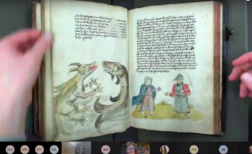 Manuscript image of a fish - screengrab from a Teams meeting