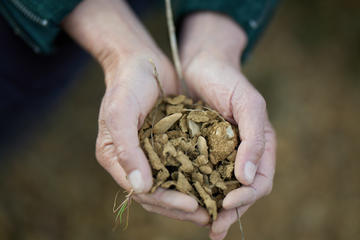 Alice Oswald's hands cupping mud on the Schwarzman Centre site