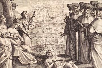 women representing nature