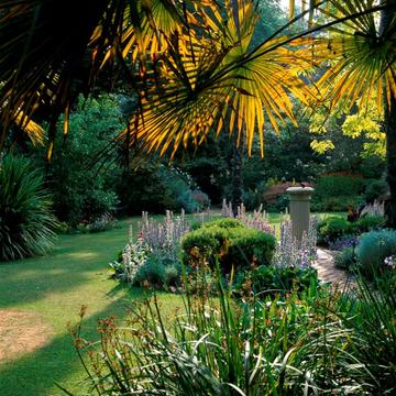 abbotsbury gardens