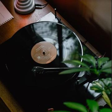 record next to a plant on a wooden table