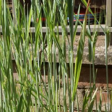 amanda couch breathworks small e1595420426636 1400x500