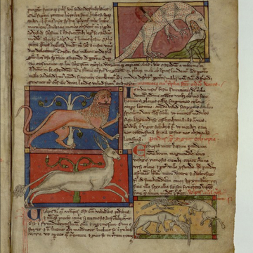 medieval studies