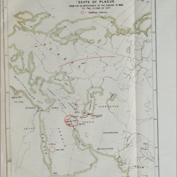 plague workshop  image