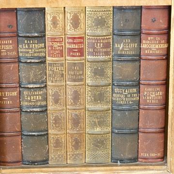 Image showing a bookshelf with leaher bound old books at Compton Verney Library