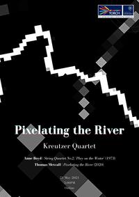 pixelating the river digital programme