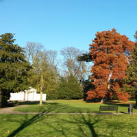 Duke of Chandos and Canons Park image depicts park landscape with lawn and trees in autumn