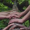 Row of hands on a fallen tree trunk.