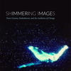 shimmering images smallcover