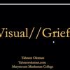 visual grief