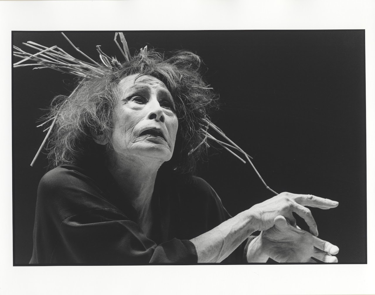 Water Lily Dance of Darkness TORCH The Oxford Research Centre in